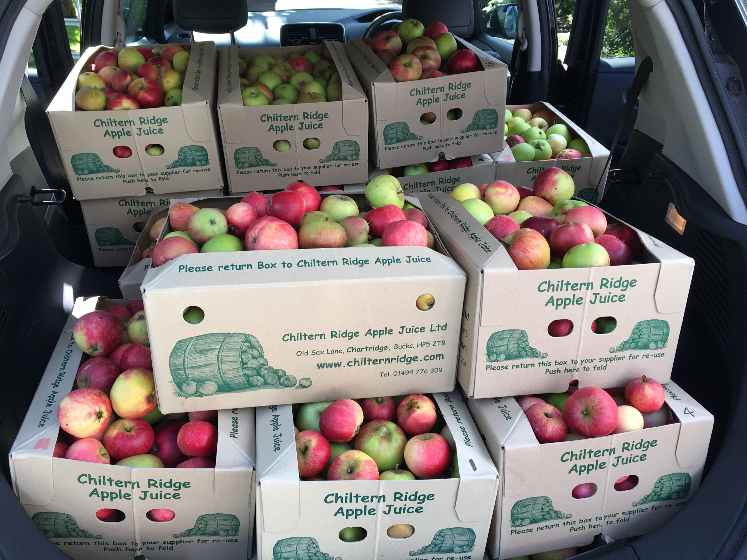 boxes full of apples in a car boot